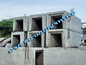 �ҧ�к�¹�Ӥ͹��յ������ٻ <br> (U-Ditch)