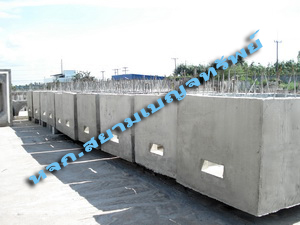 ��;ѡ���俿�� <br> (Hand Hole)